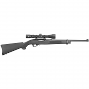 Ruger 10/22 Carbine, .22LR w/ Veridian 3-9x40mm Ruger 10/22 Carbine, .22LR w/ Veridian 3-9x40mm