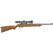 Ruger 10/22 Carbine, .22LR Hardwood w/ Viridian 3-9x40mm Ruger 10/22 Carbine, .22LR Hardwood w/ Viridian 3-9x40mm